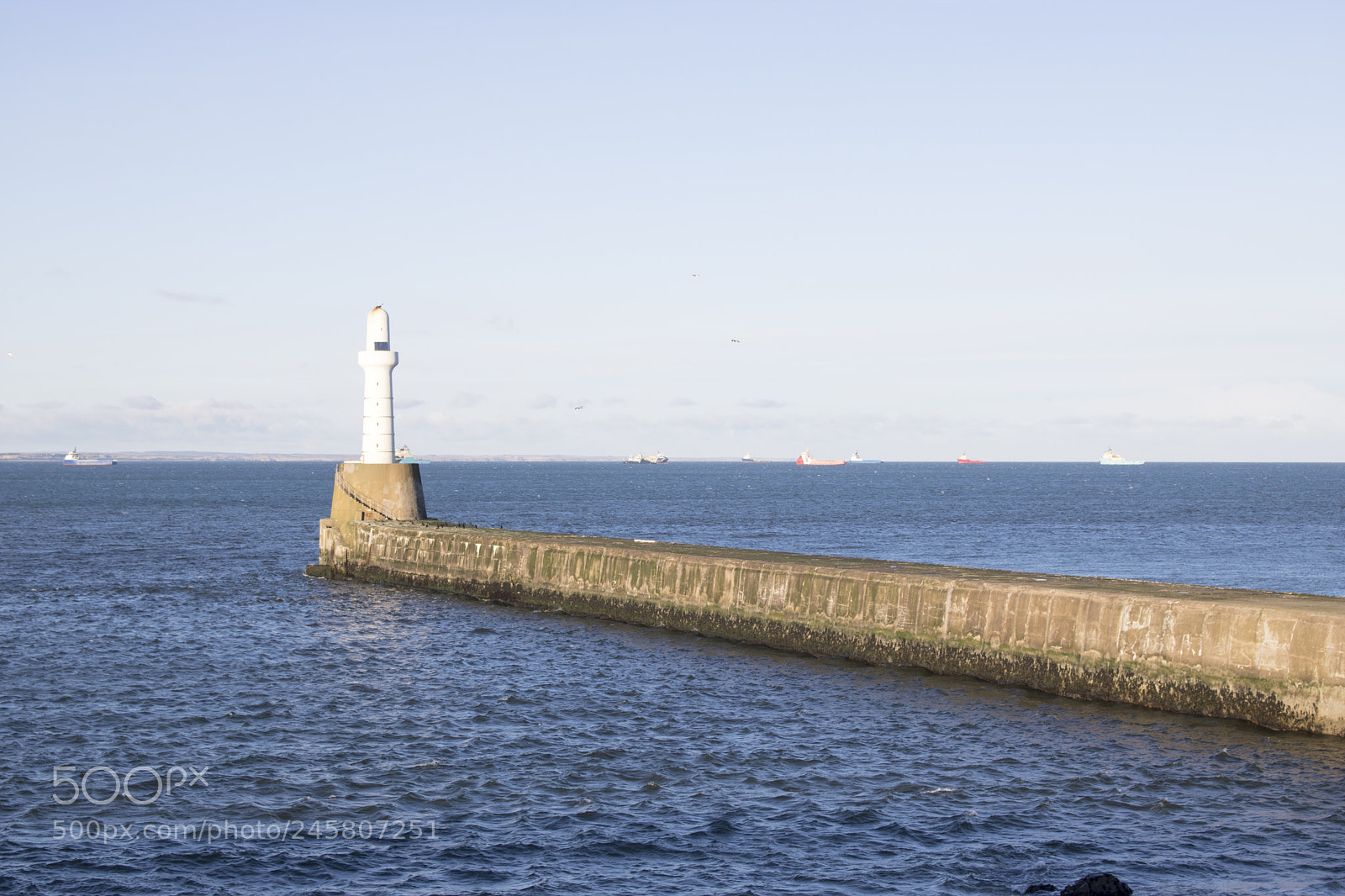 Canon EOS 750D (EOS Rebel T6i / EOS Kiss X8i) sample photo. Aberdeen lighthouse in front photography