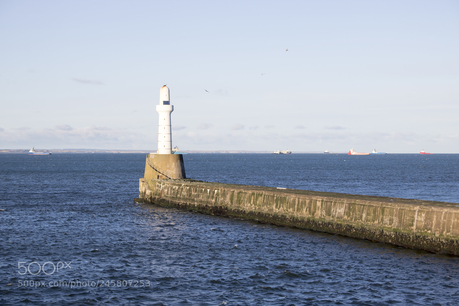 Canon EOS 750D (EOS Rebel T6i / EOS Kiss X8i) sample photo. Aberdeen lighthouse in front photography
