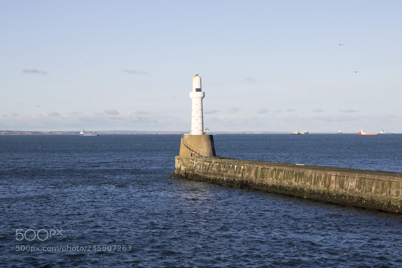 Canon EOS 750D (EOS Rebel T6i / EOS Kiss X8i) sample photo. Aberdeen lighthouse in front photography