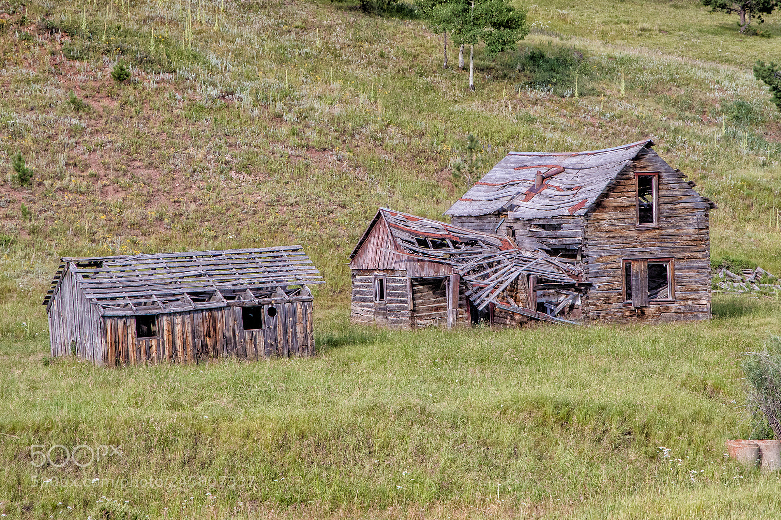 Canon EOS 7D Mark II sample photo. Abandoned old log cabin photography