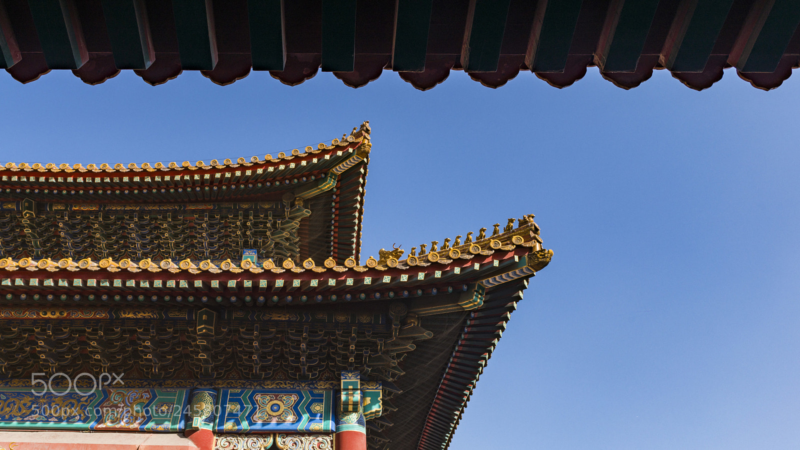 Nikon D800 sample photo. Untitled photography