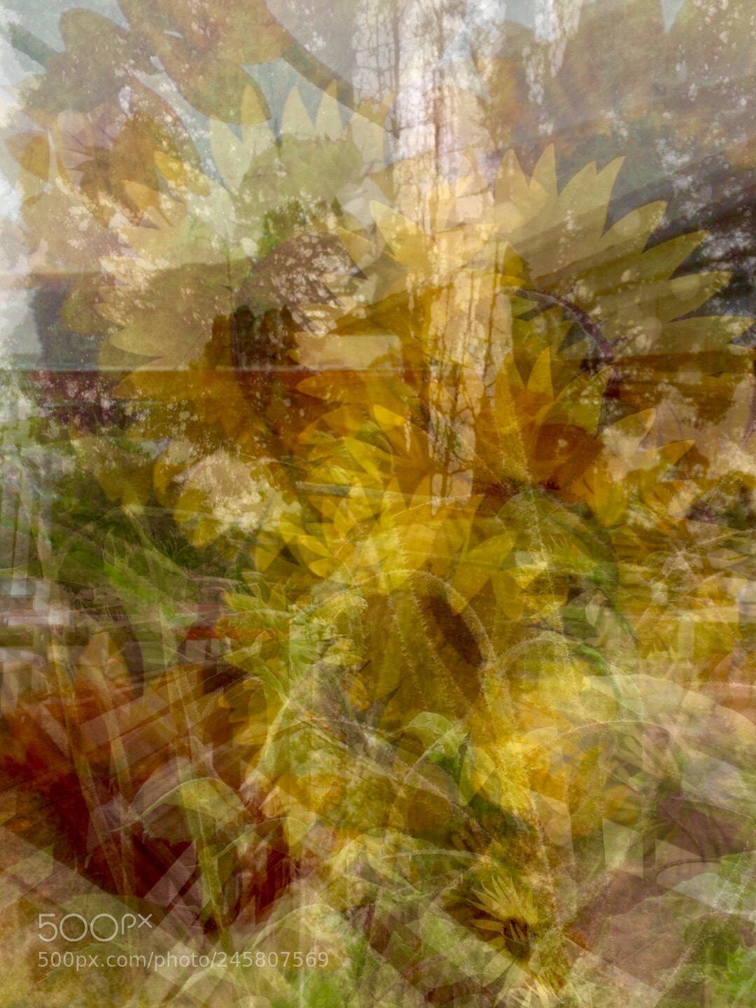 Apple iPhone sample photo. Sunflower blur photography