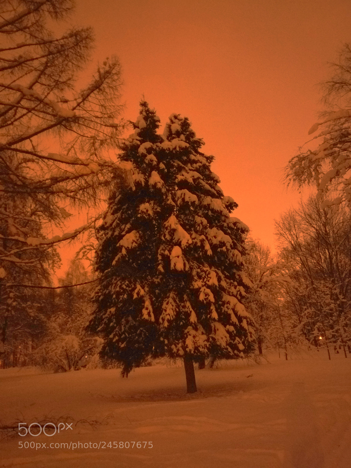 OnePlus A3003 sample photo. Winter landscape with the photography
