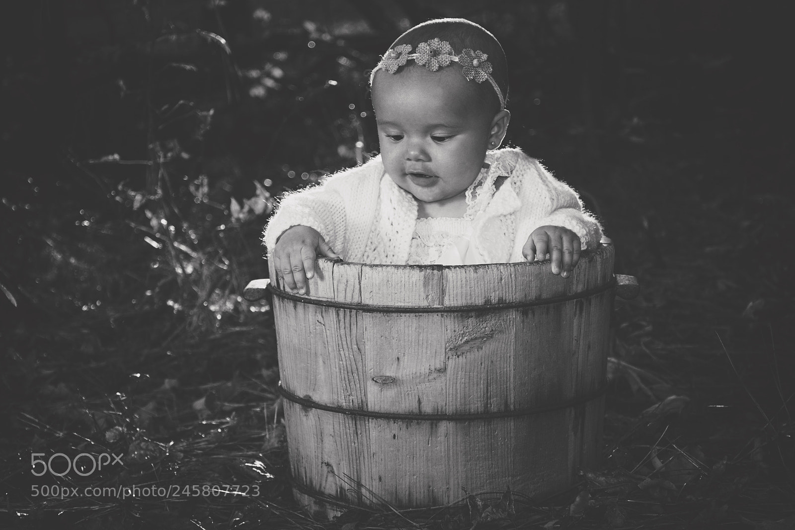 Nikon D7200 sample photo. Baby in a bucket photography