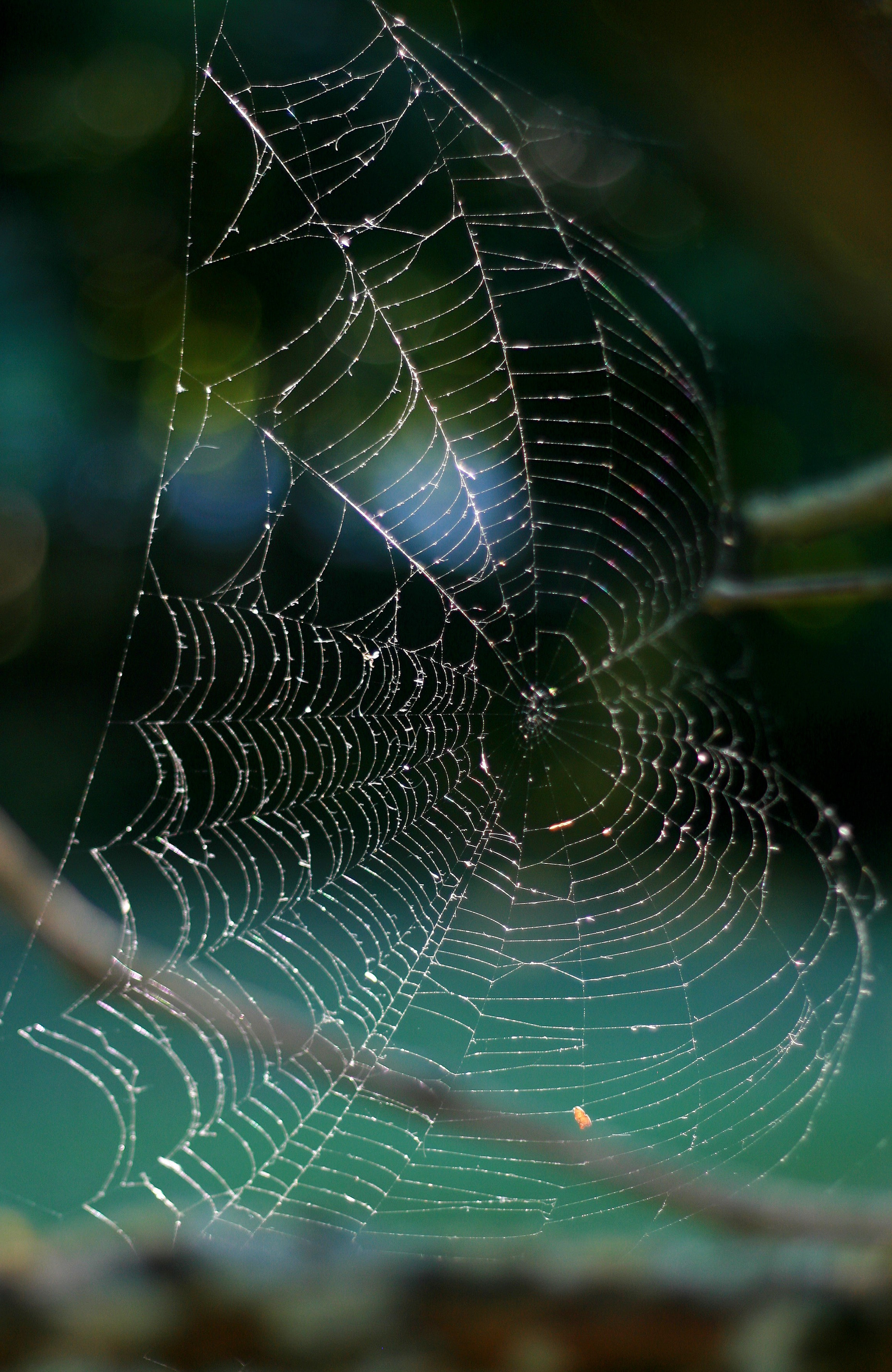 Canon EF 50mm F1.8 II sample photo. Great architectural work photography