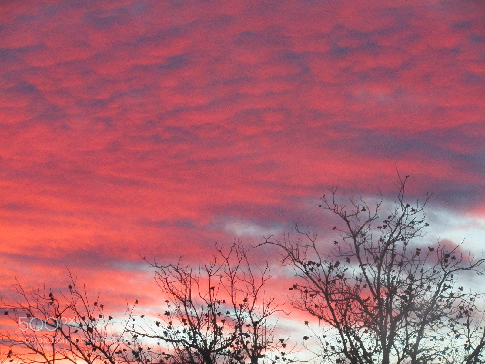 Canon PowerShot SX410 IS sample photo. Arizona sunset photography