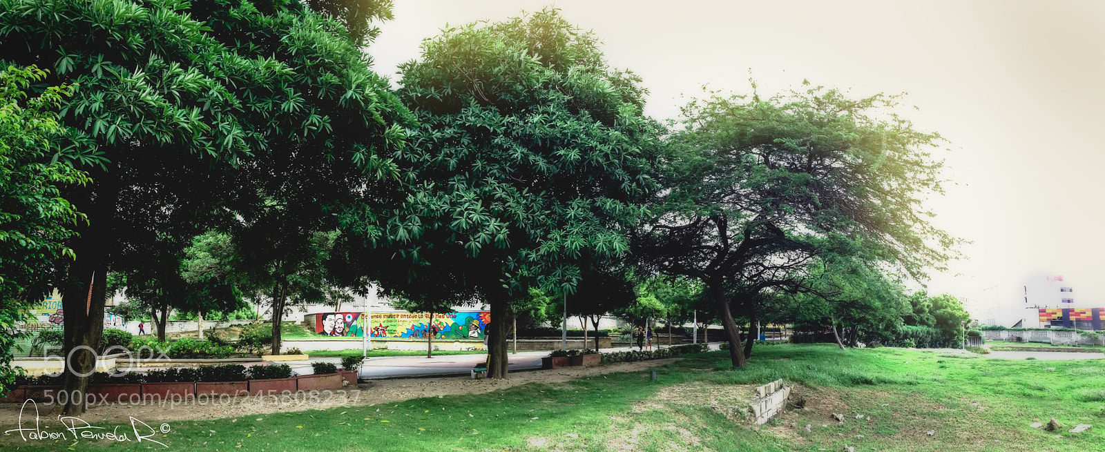 Apple iPhone 5 sample photo. Entrance trees photography
