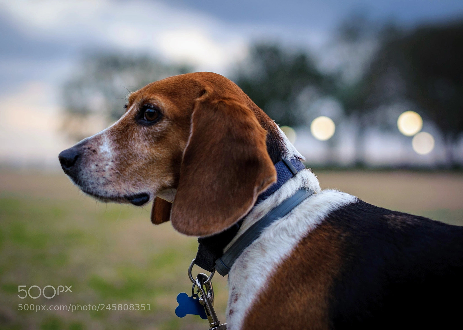 Nikon D700 sample photo. Mr. quinn photography