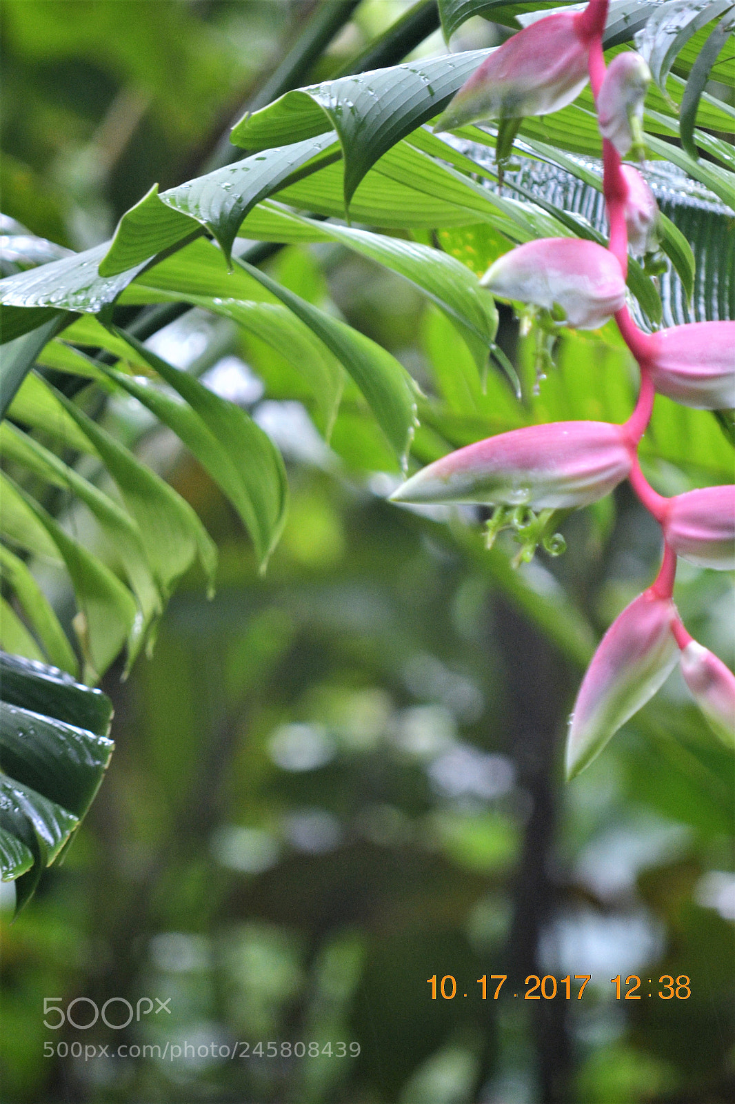 Nikon D3100 sample photo. () photography