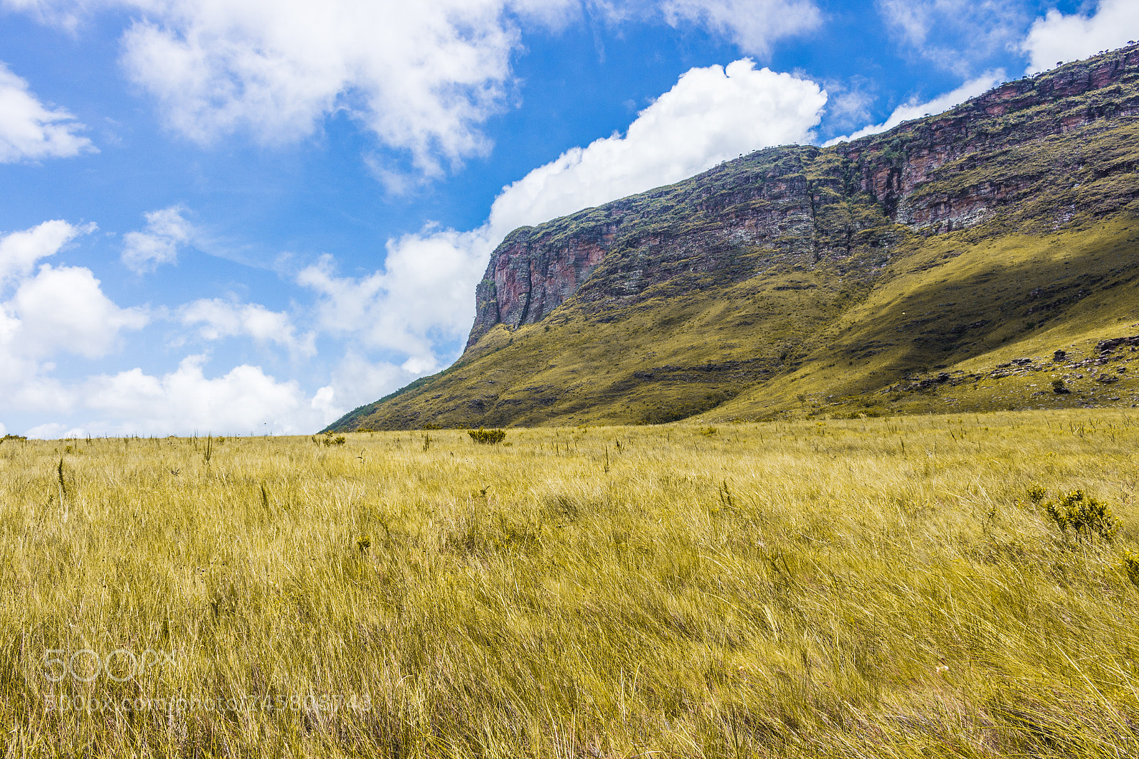Canon EOS 700D (EOS Rebel T5i / EOS Kiss X7i) sample photo. Morro dos tr s photography