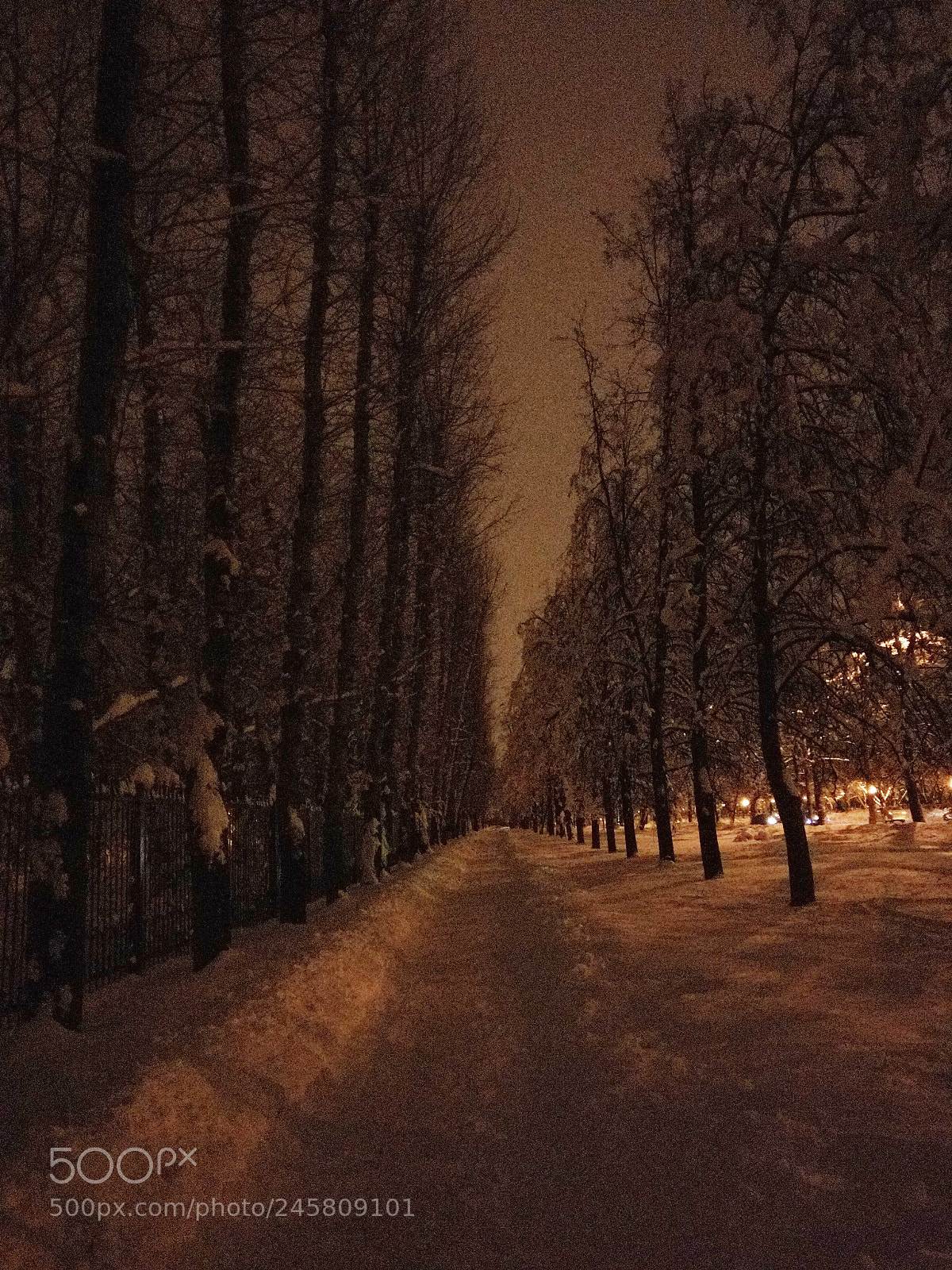 OnePlus A3003 sample photo. Night alley, winter 2018 photography