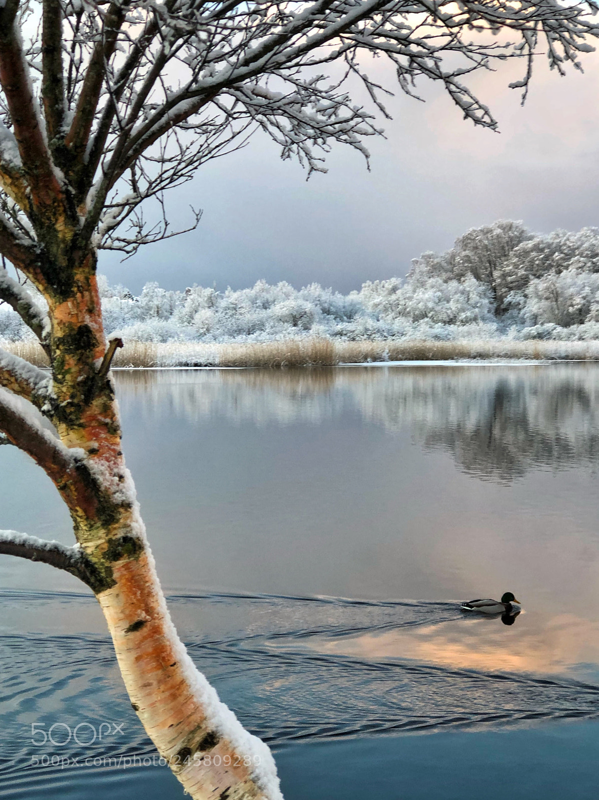 Apple iPhone 8 Plus sample photo. Stavanger,norway photography