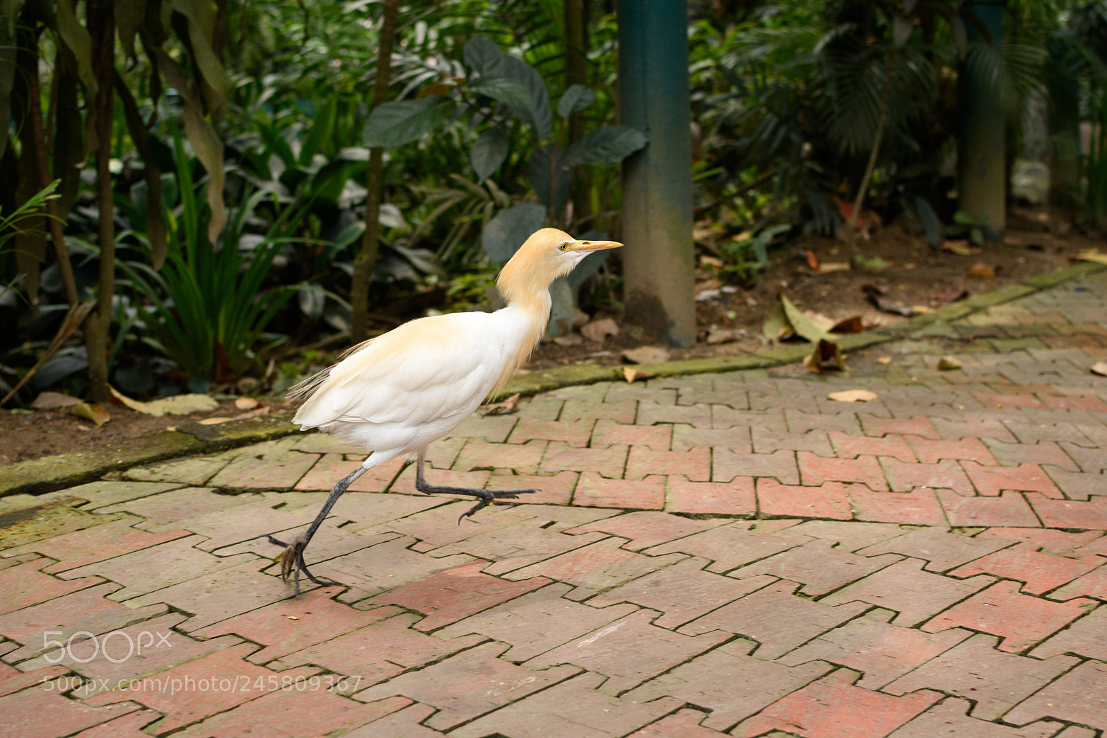 Nikon D7500 sample photo. Lunch! photography