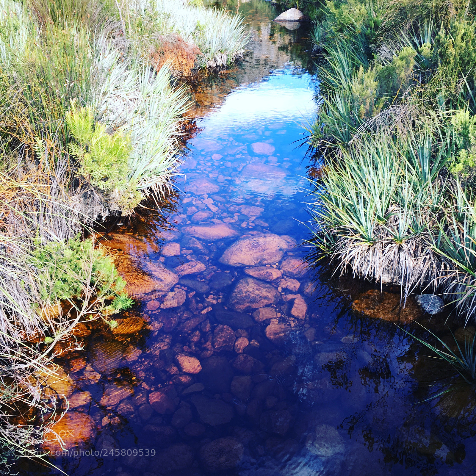 Apple iPhone 6s sample photo. Calming river discovered while photography