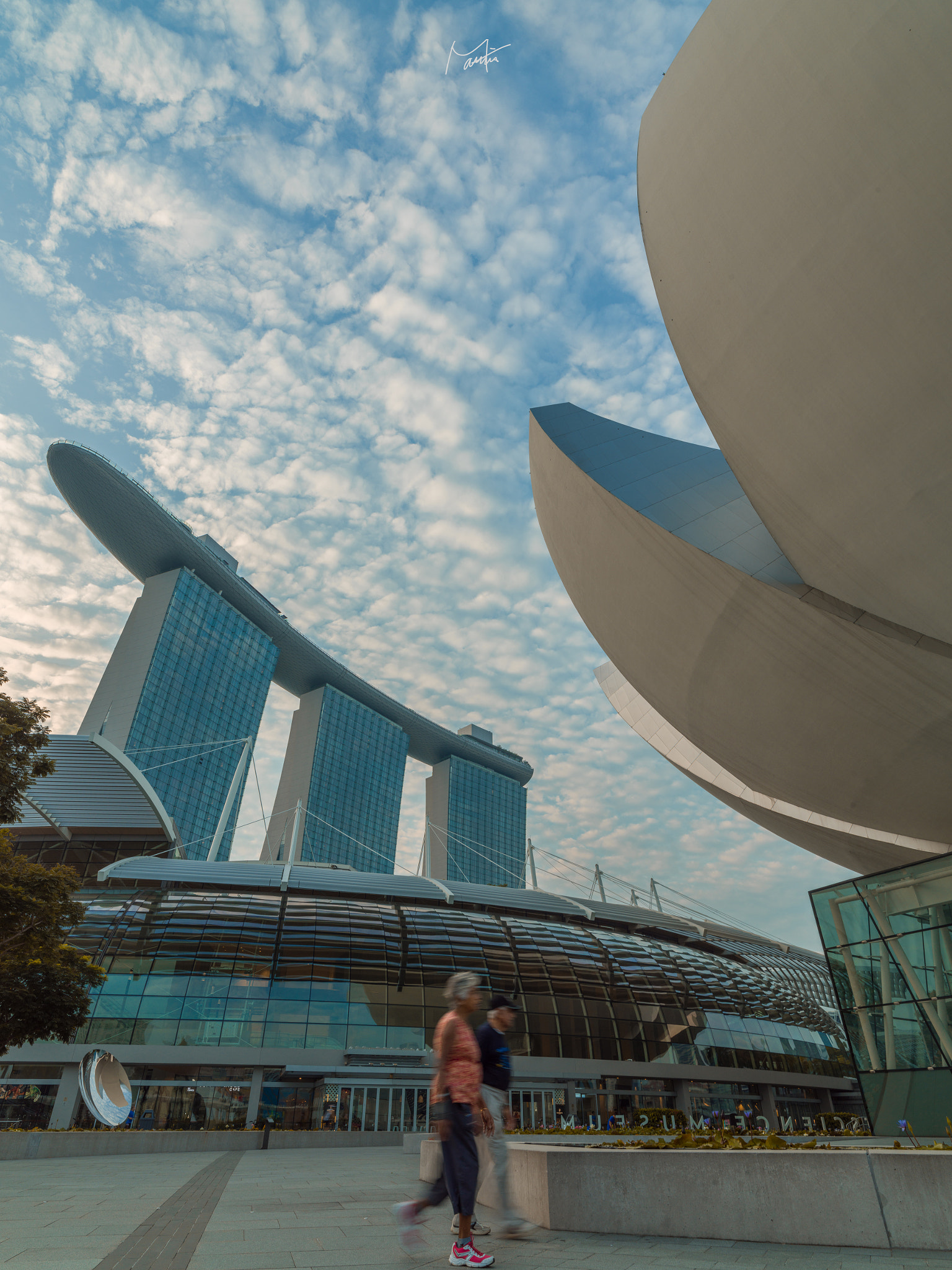 Hasselblad H6D sample photo. One morrning around marina bay photography