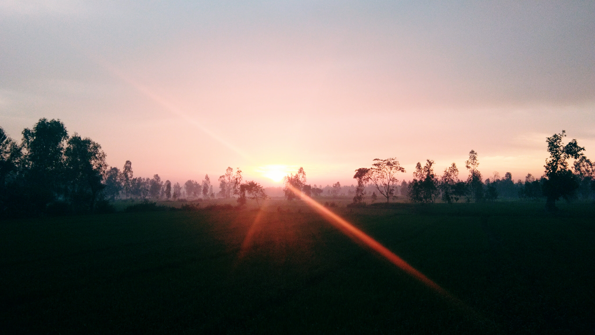 vivo Y55s sample photo. Early morning scene photography