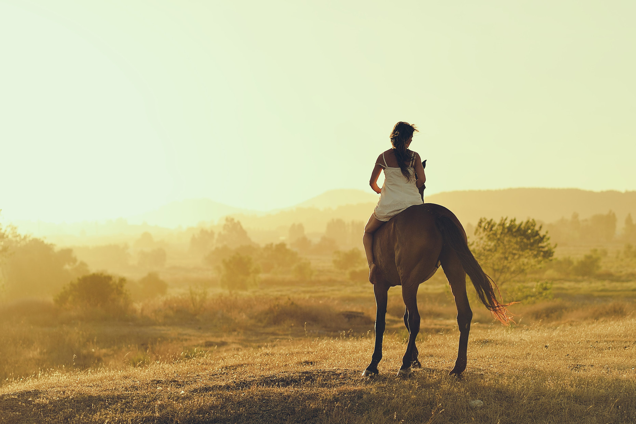 Nikon Df sample photo. Horse ride sunset 1 photography