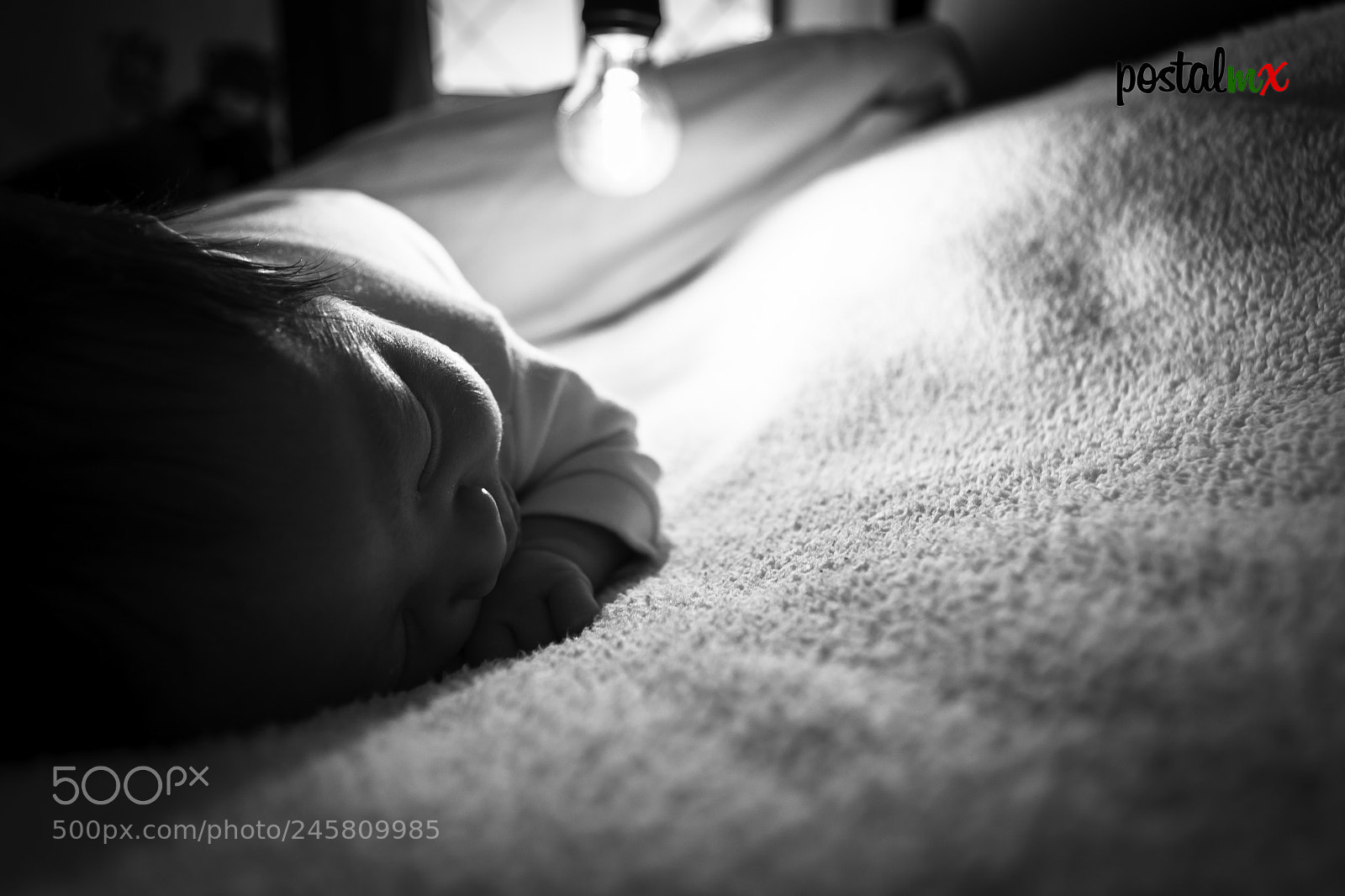 Nikon D5500 sample photo. Matias. photography
