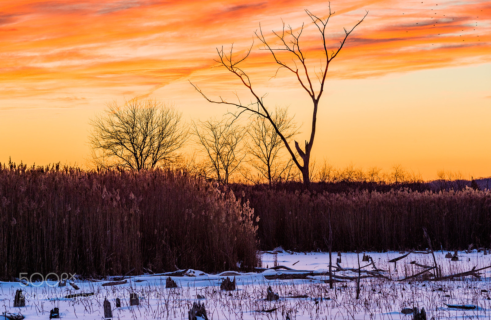 Nikon Df sample photo. Sunset moment photography