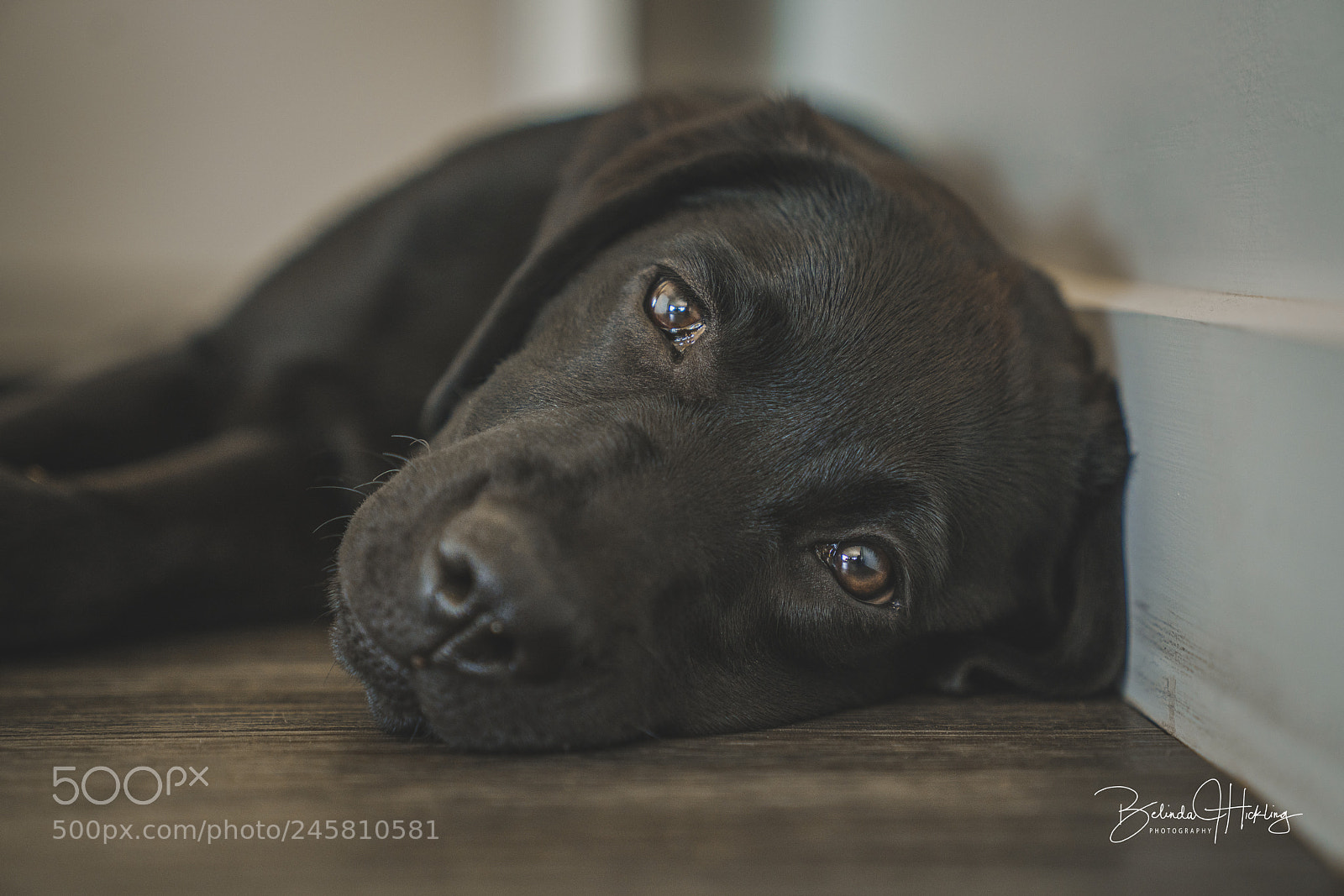 Sony a7R II sample photo. Worn out photography