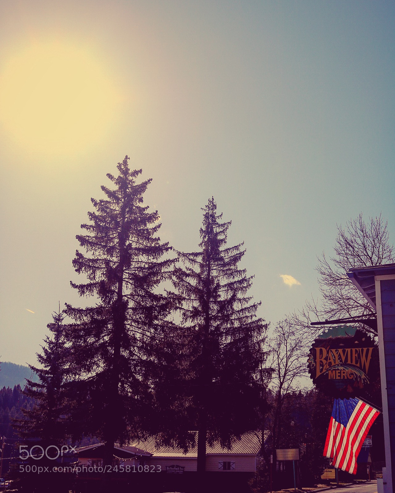 Canon EOS 750D (EOS Rebel T6i / EOS Kiss X8i) sample photo. Bayview, id photography