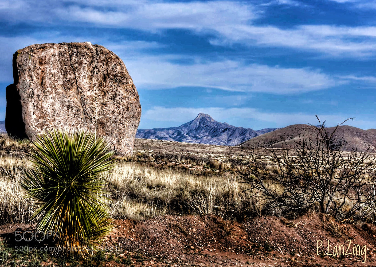 Nikon D810 sample photo. Cooke s peak, new photography