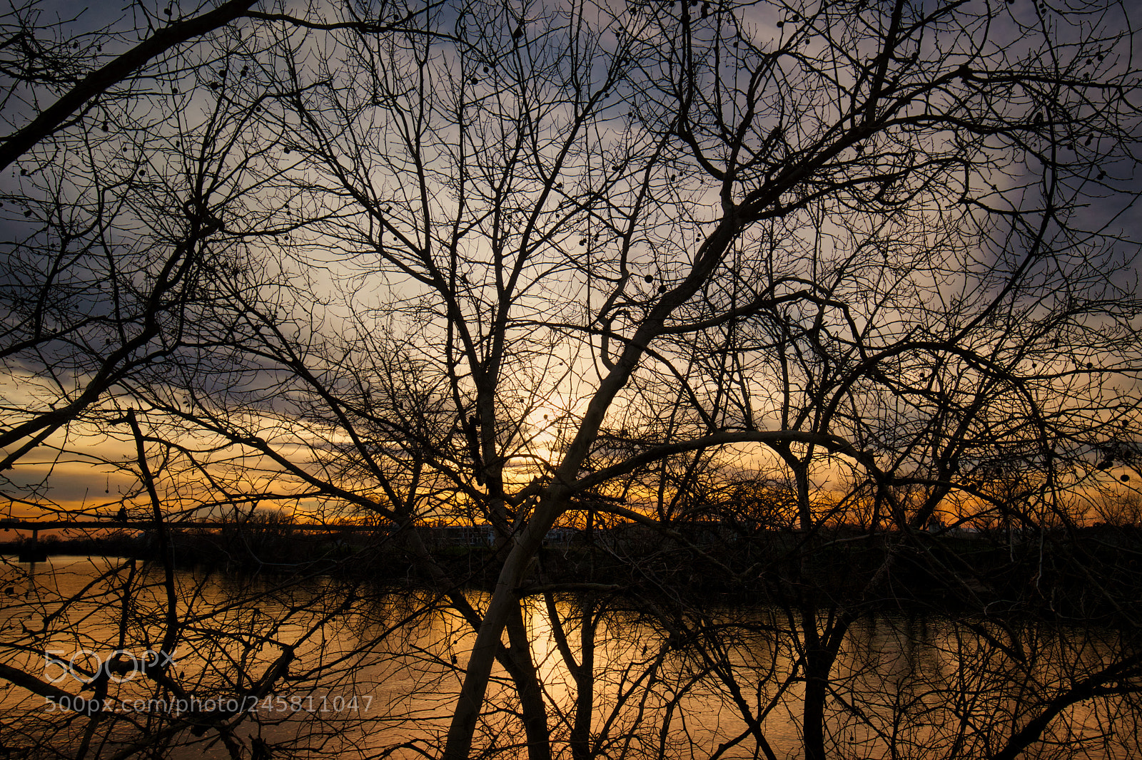 Sony a7 II sample photo. Sony 3648 river sunset photography