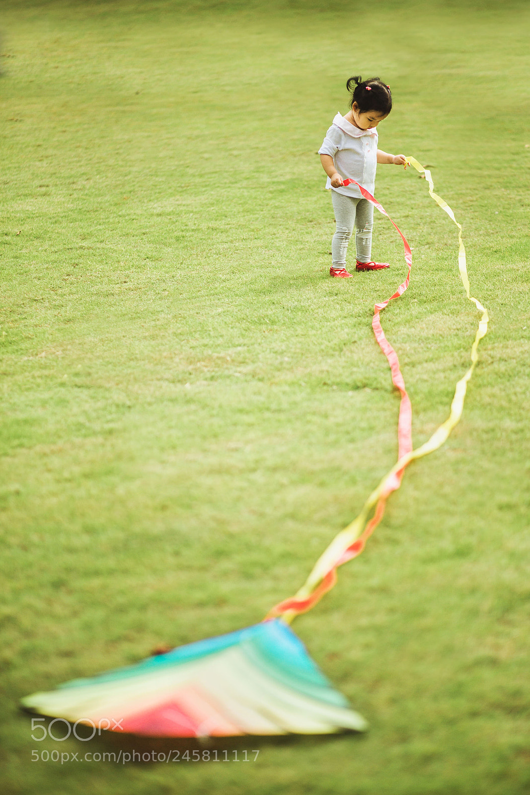 Canon EOS-1D X sample photo. Kite photography