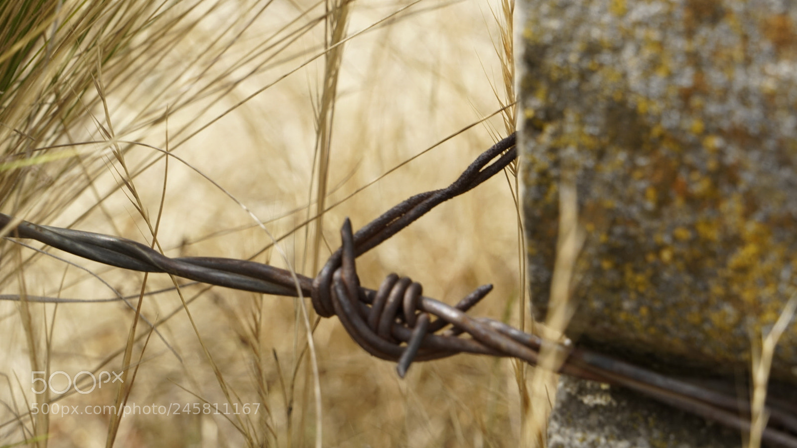 Sony a7R sample photo. La soledad tambi n photography