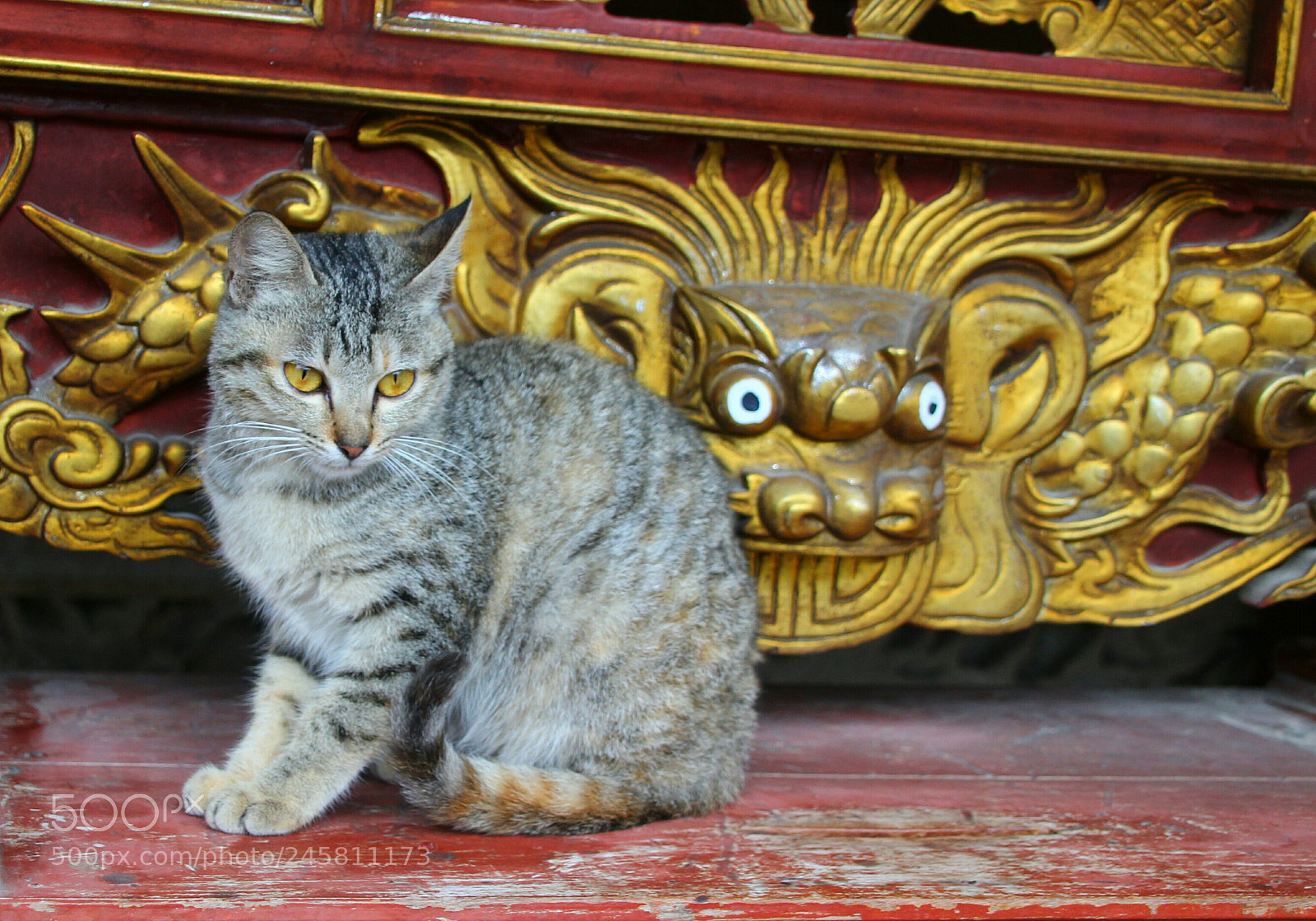 Canon EOS 100D (EOS Rebel SL1 / EOS Kiss X7) sample photo. Look my eyes photography