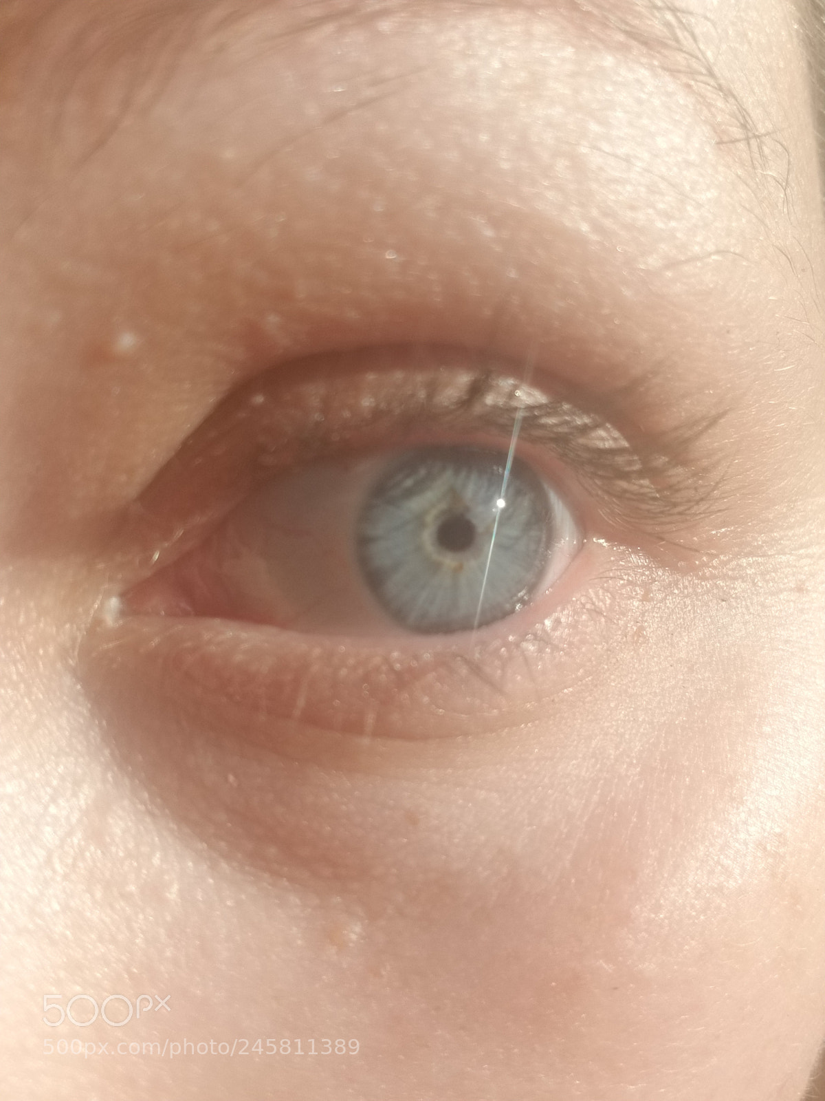 Samsung Galaxy S8 sample photo. Untitled photography
