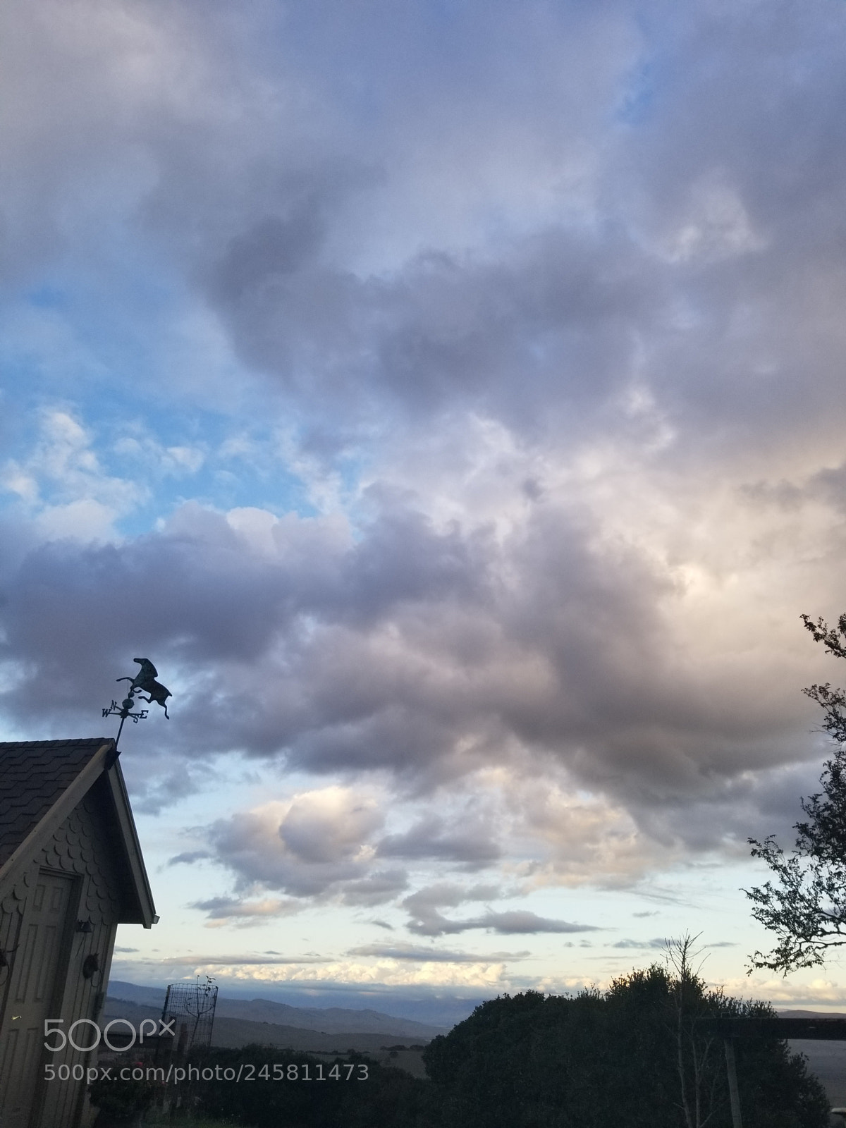Samsung Galaxy S8 sample photo. Untitled photography