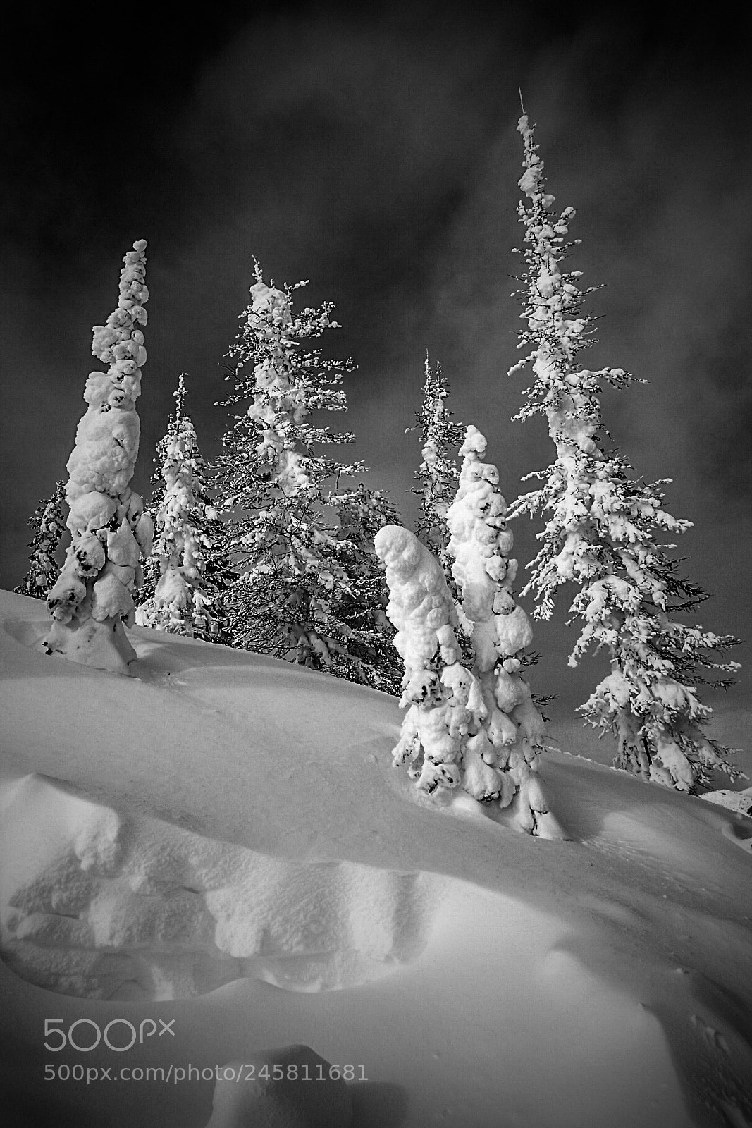 Olympus TG-4 sample photo. Backcountry snowboarding scene in photography