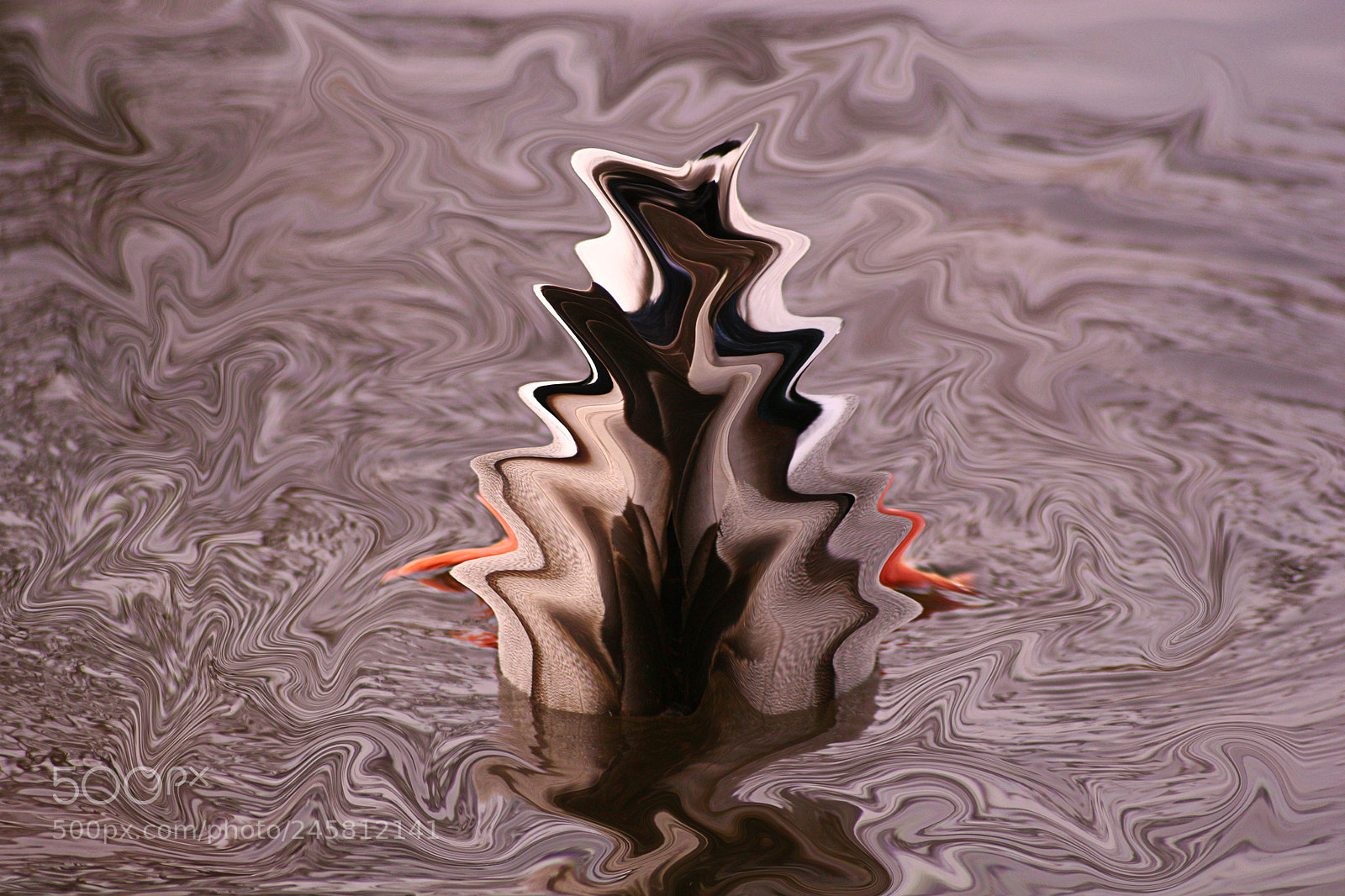 Canon EOS 20D sample photo. Duckdive photography