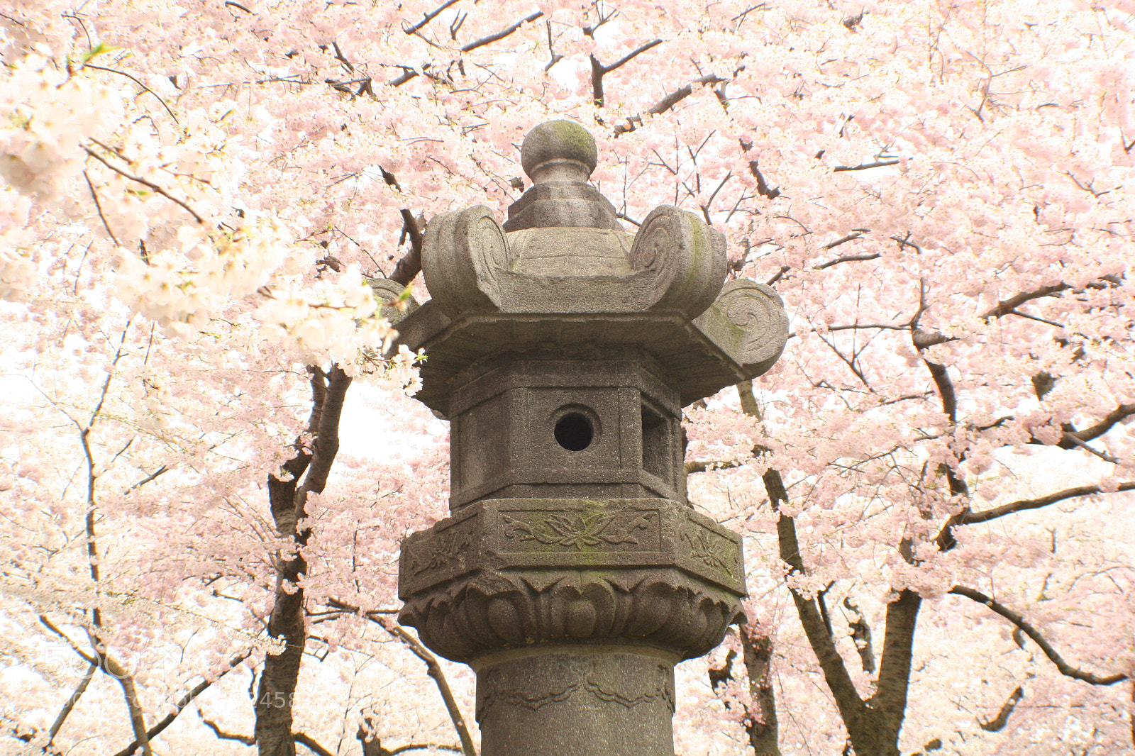 Canon EOS 20D sample photo. Img photography
