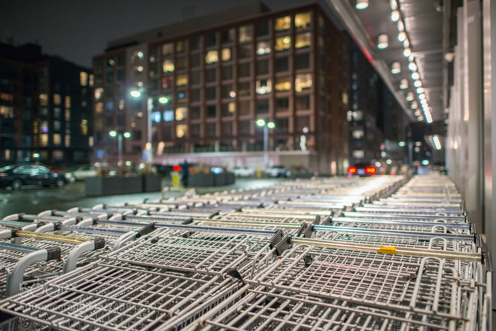 Nikon D800 sample photo. Shopping carts photography