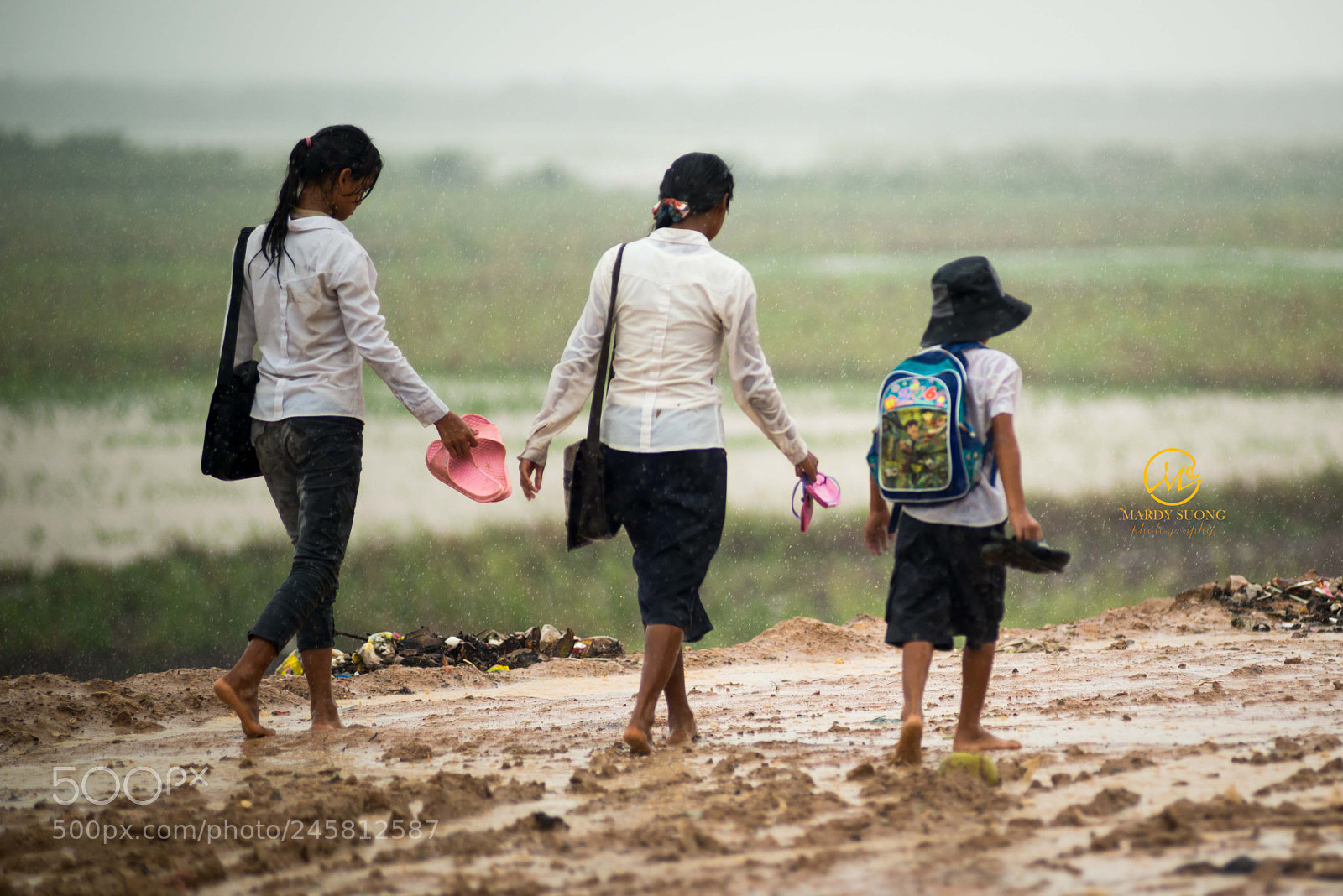 Nikon D800 sample photo. ក្រោមតំណក់ទឹកភ្លៀង under the rain drop photography