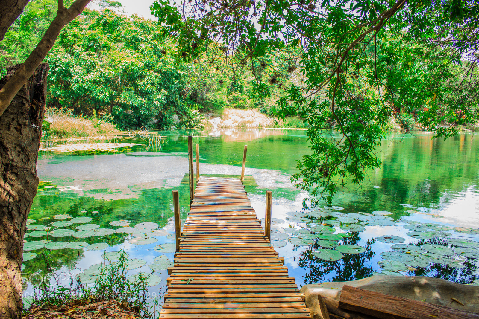 Canon EOS 700D (EOS Rebel T5i / EOS Kiss X7i) sample photo. Rio pratinha photography