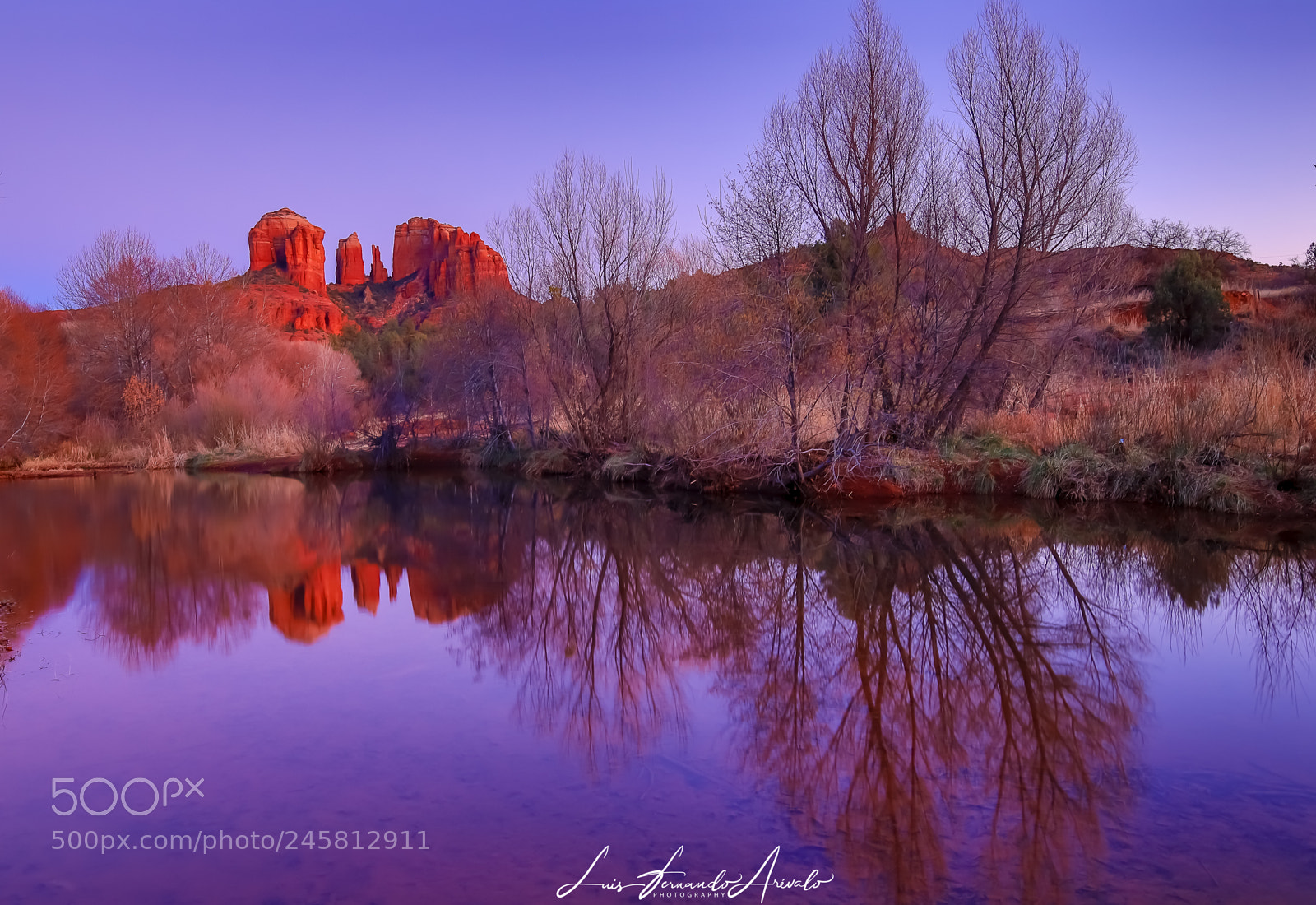 Canon EOS 6D Mark II sample photo. Cathedral reflection photography