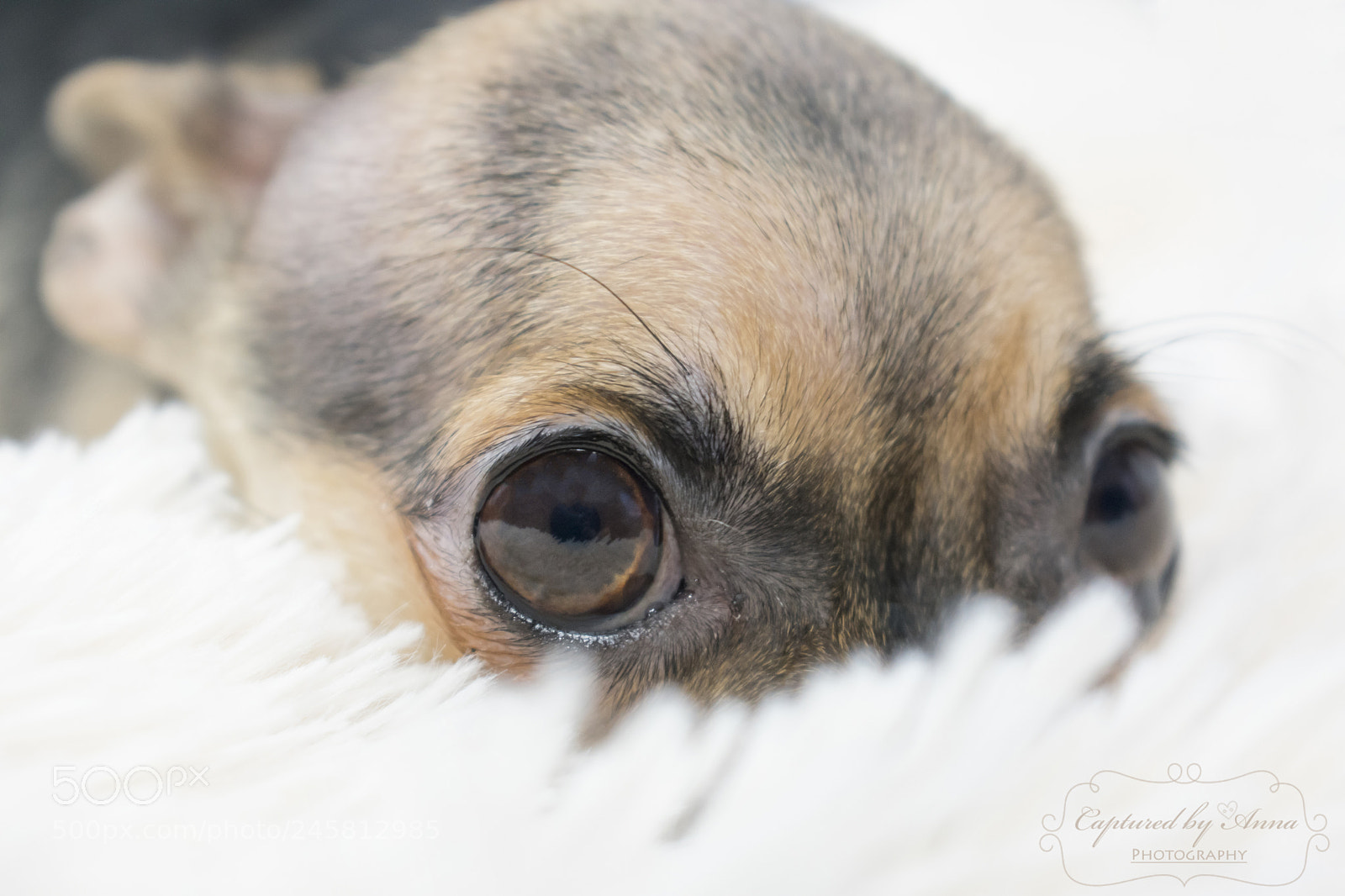 Nikon D3400 sample photo. Lets snuggle photography