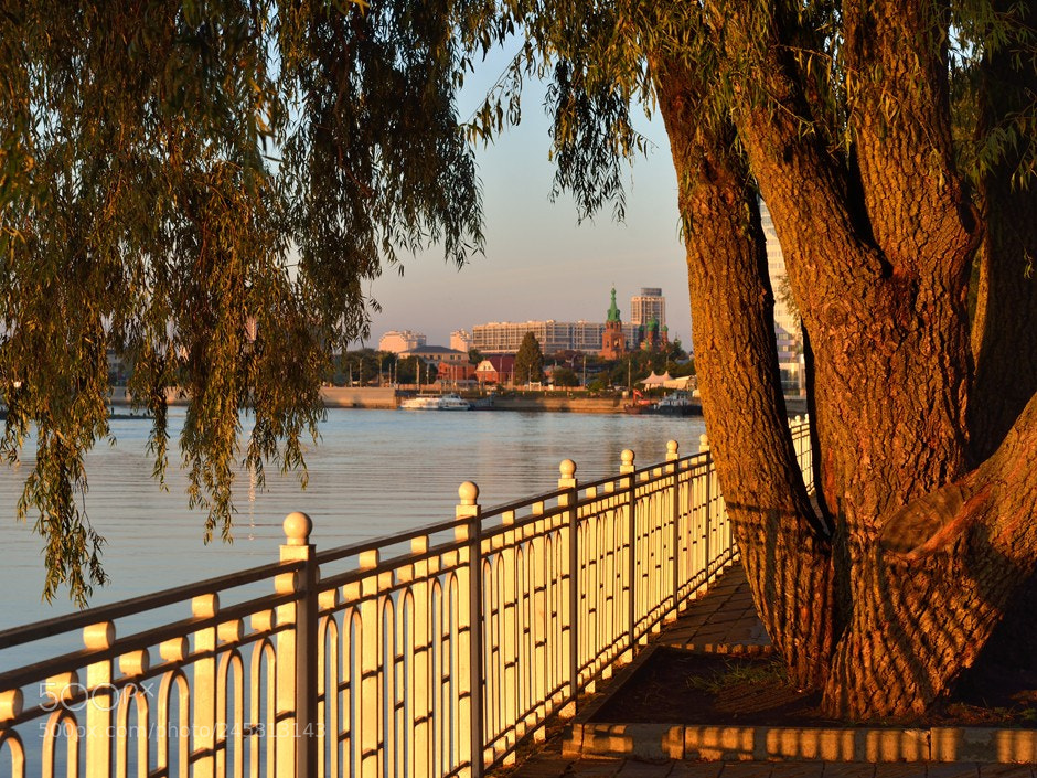 Nikon D800 sample photo. Krasnodar. #2 photography