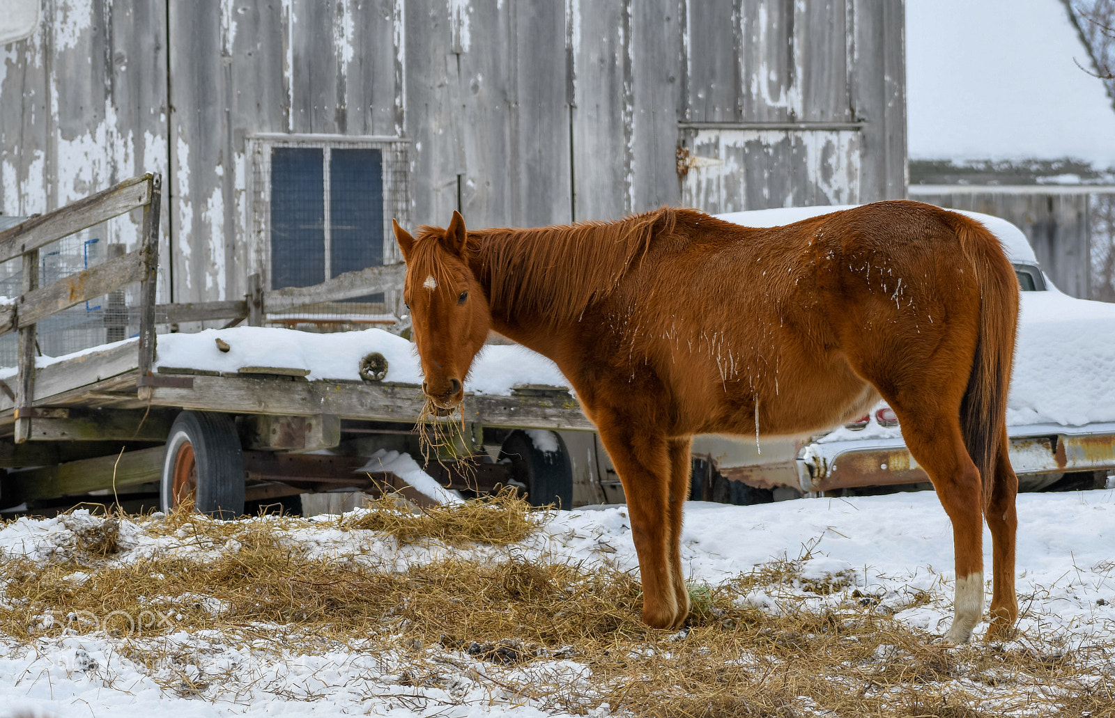 Nikon D500 sample photo. Untitled photography