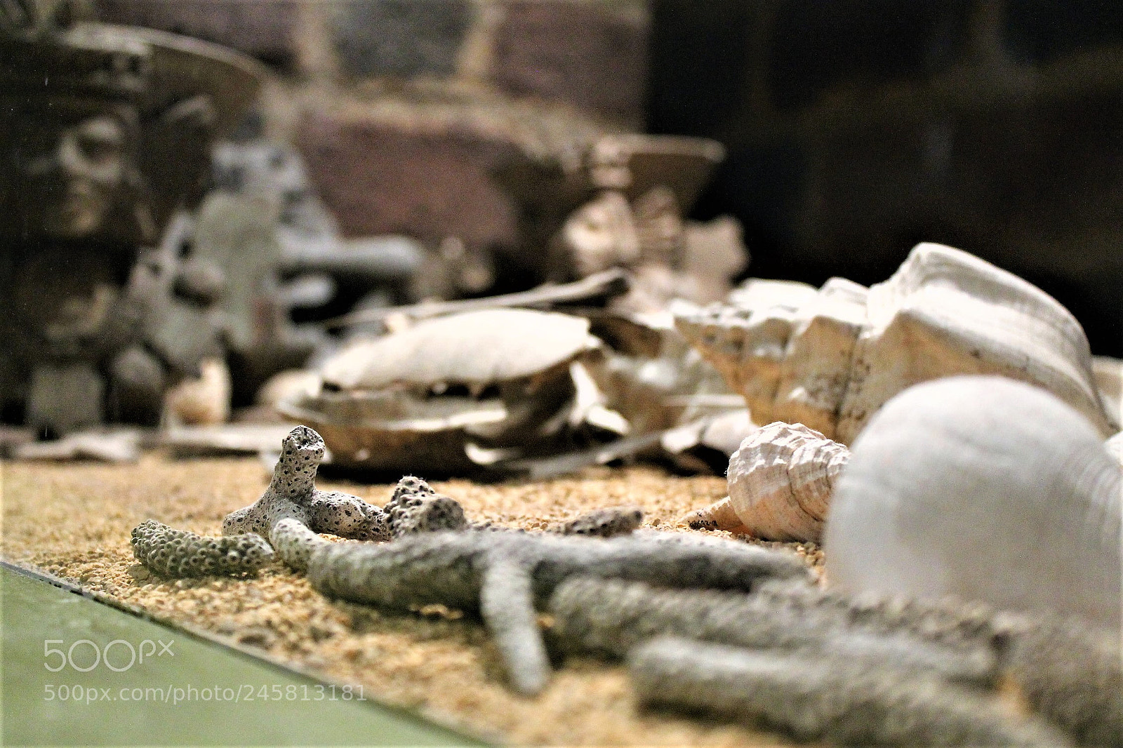 Canon EOS 1100D (EOS Rebel T3 / EOS Kiss X50) sample photo. Ofrenda azteca photography