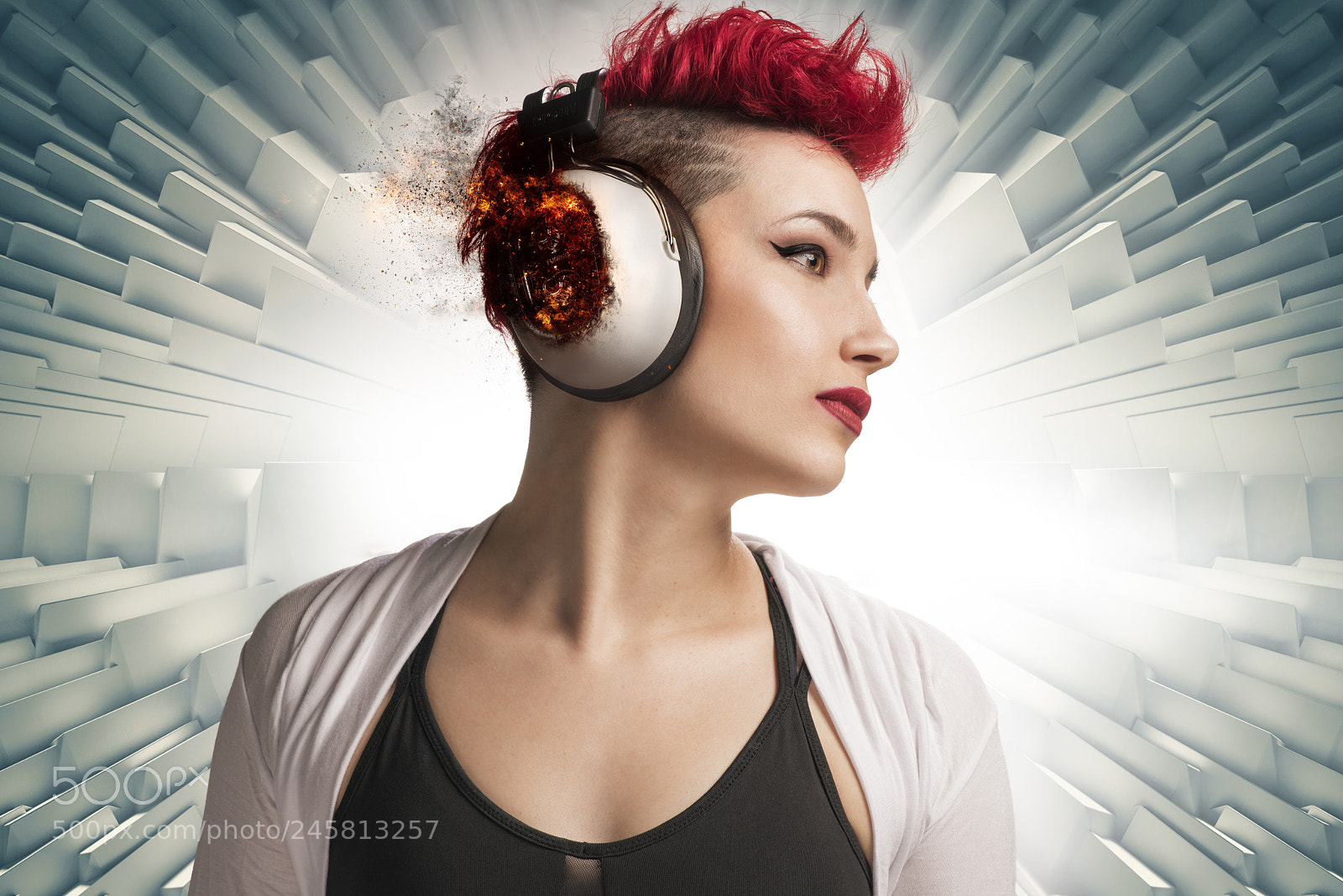 Nikon D810 sample photo. Sound photography
