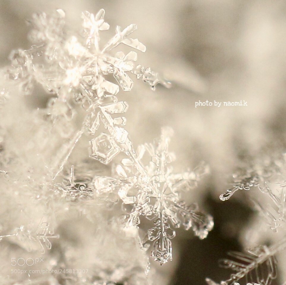 Canon EOS M10 sample photo. Crystal photography