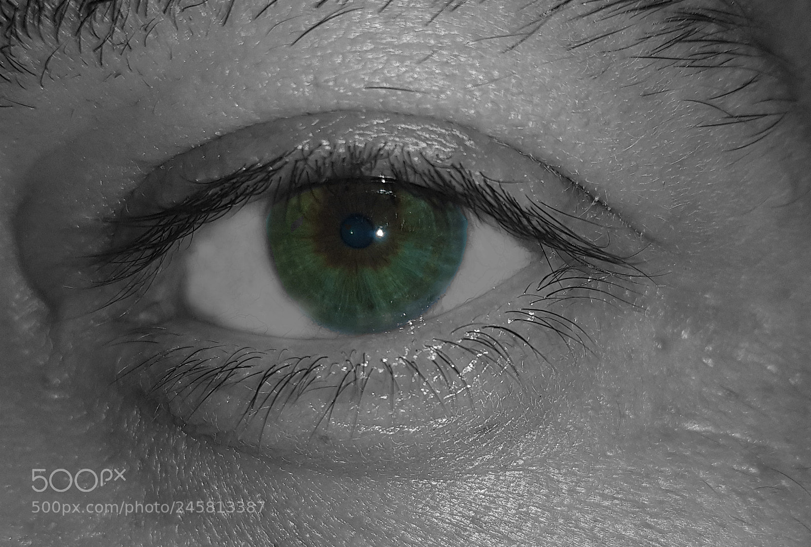 Samsung Galaxy S8+ sample photo. My eye photography