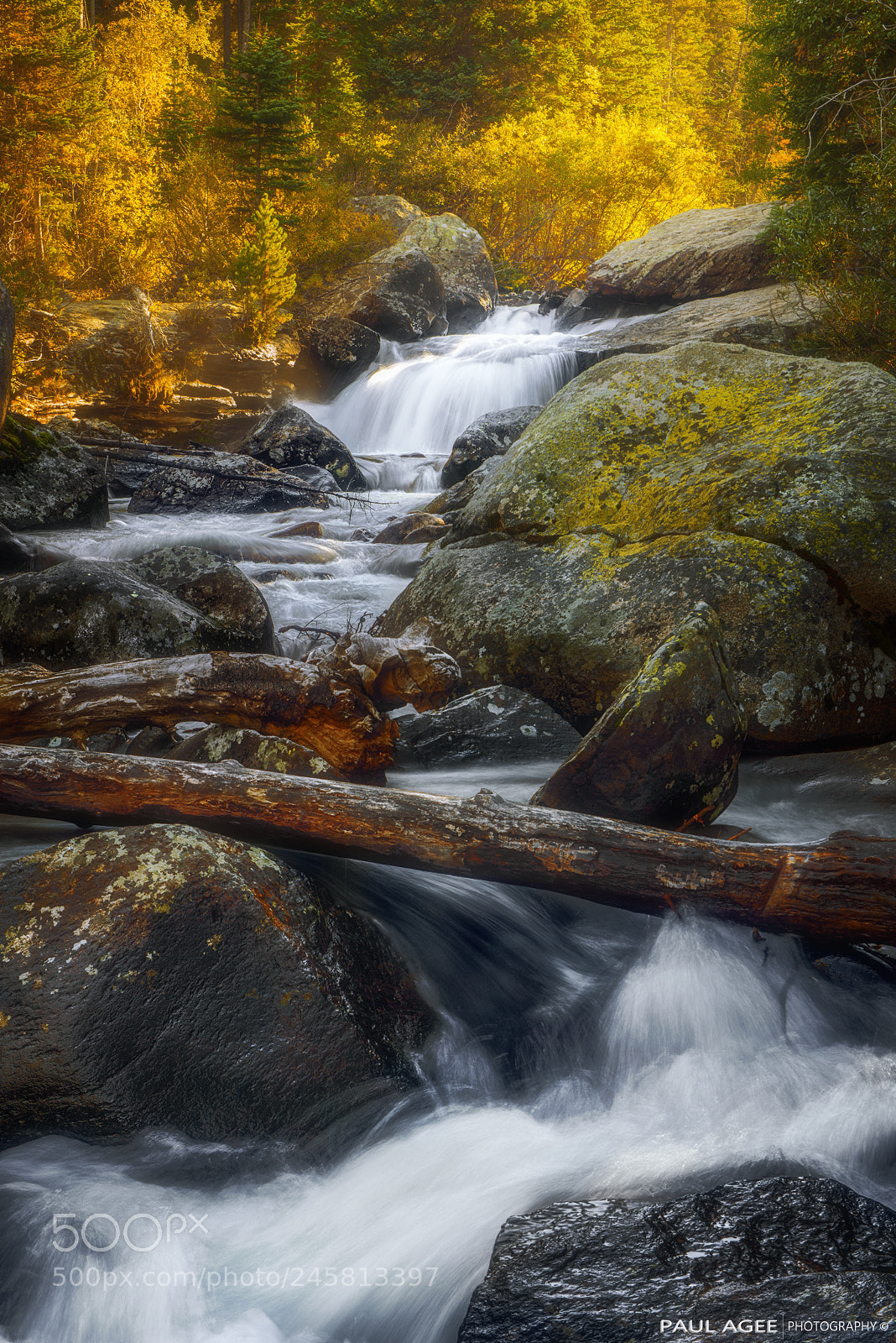 Nikon D800 sample photo. Copeland falls - rocky photography
