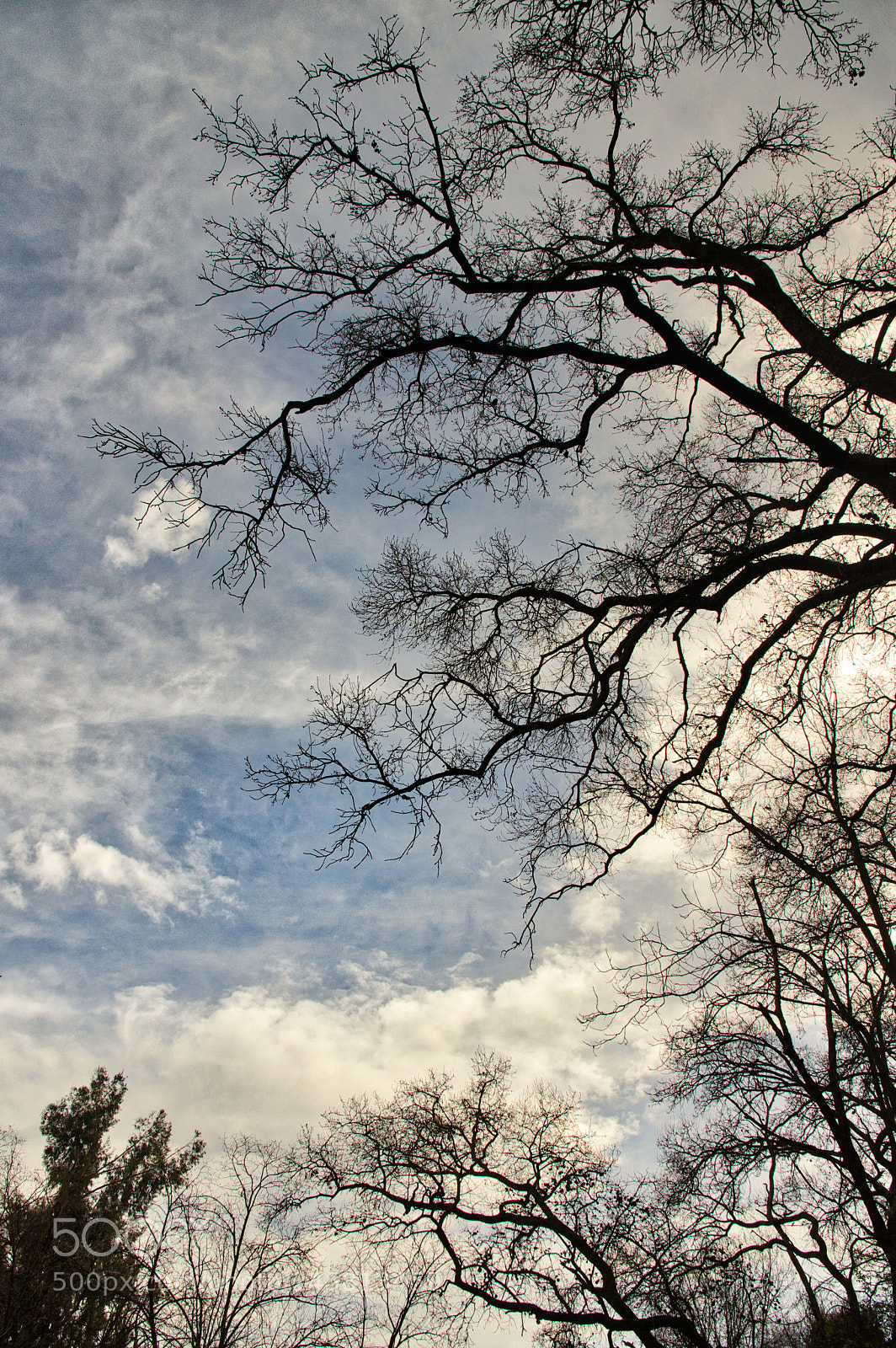 Pentax K-3 II sample photo. Sky and clouds photography