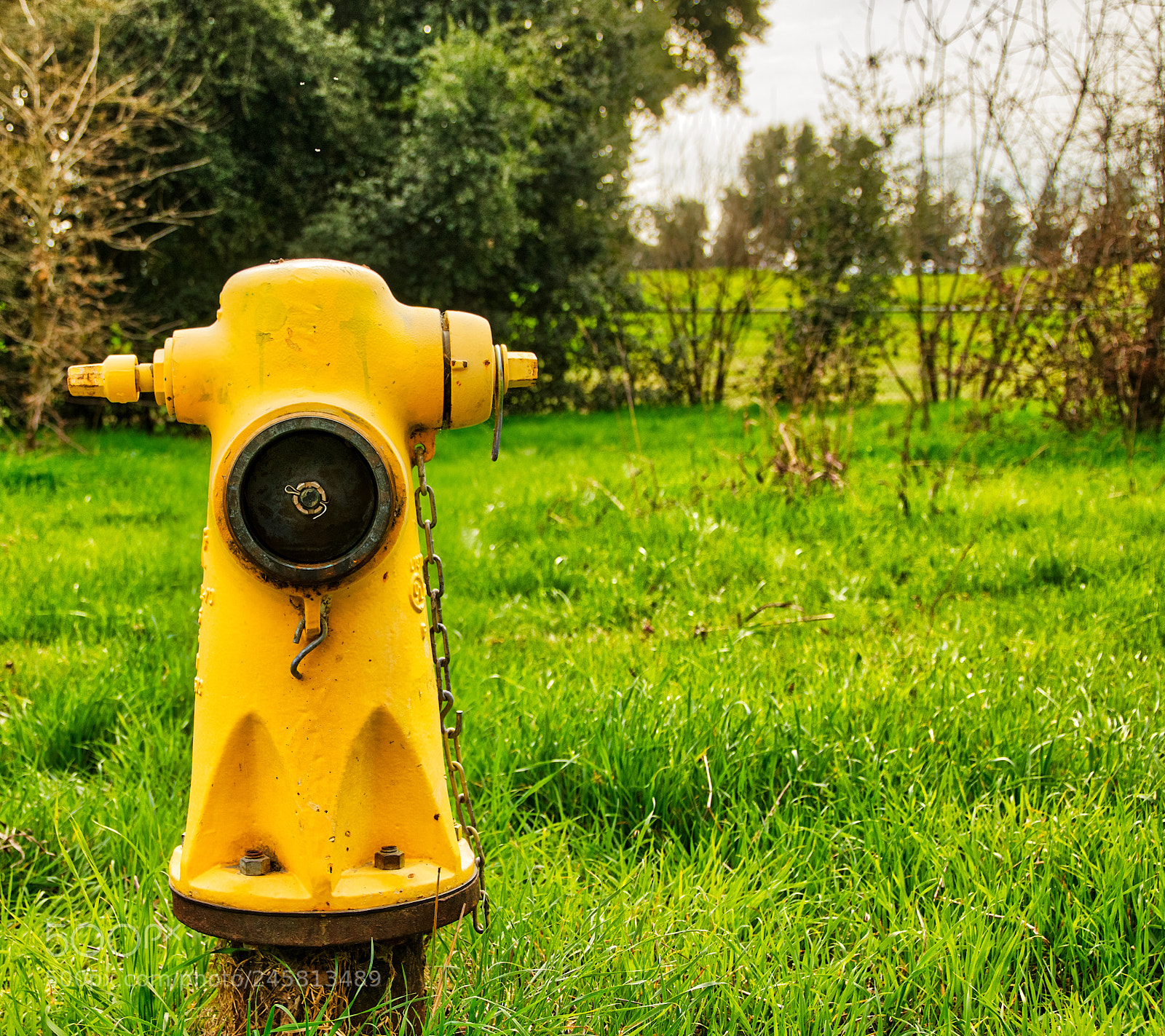 Pentax K-3 II sample photo. Fire hydrant in the photography