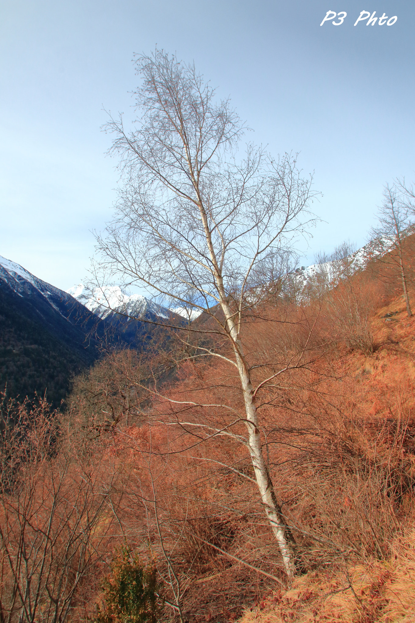 Sigma 10-20mm F3.5 EX DC HSM sample photo. Img photography
